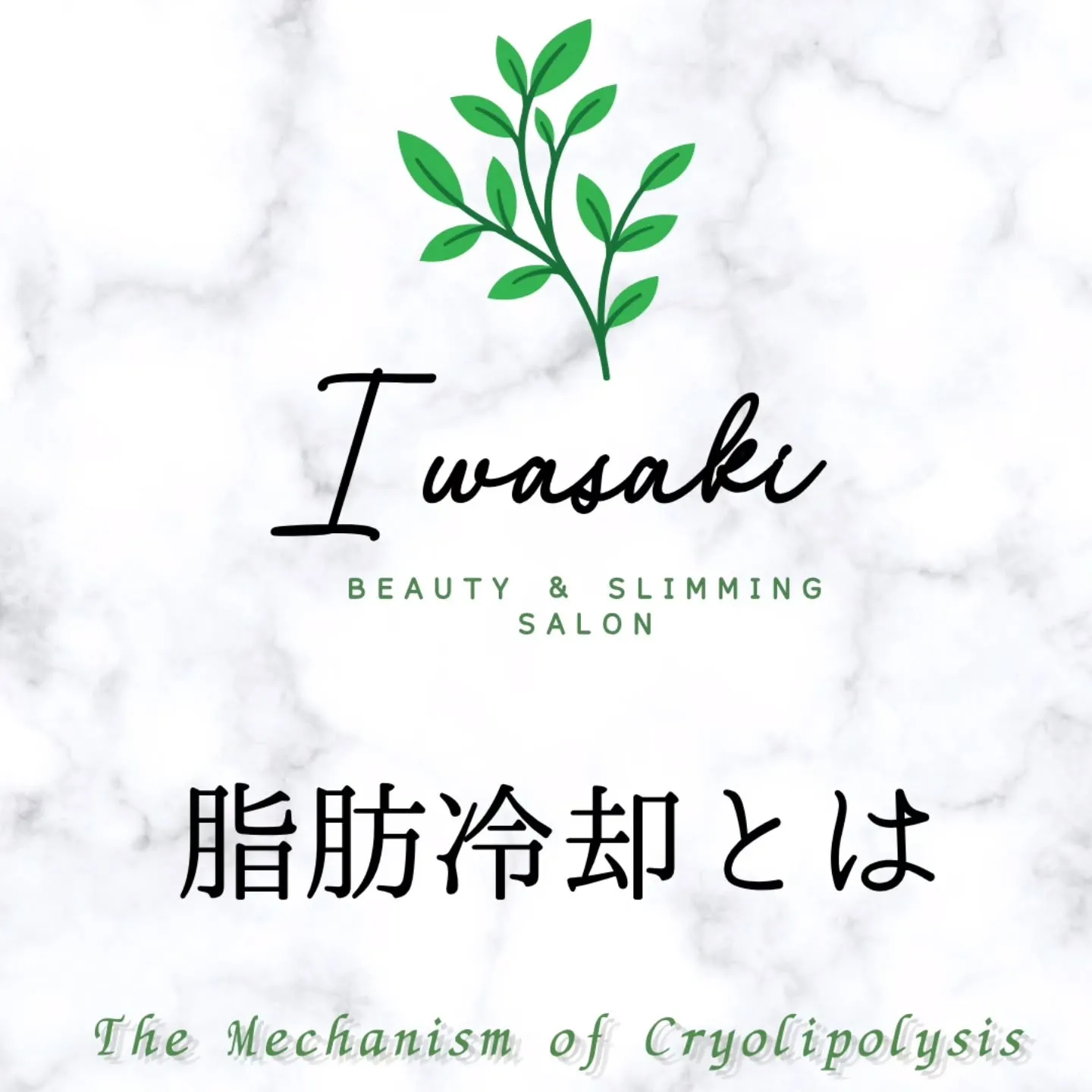 【脂肪冷却とは】